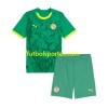 Camiseta Senegal Niño Segunda Equipación 2025